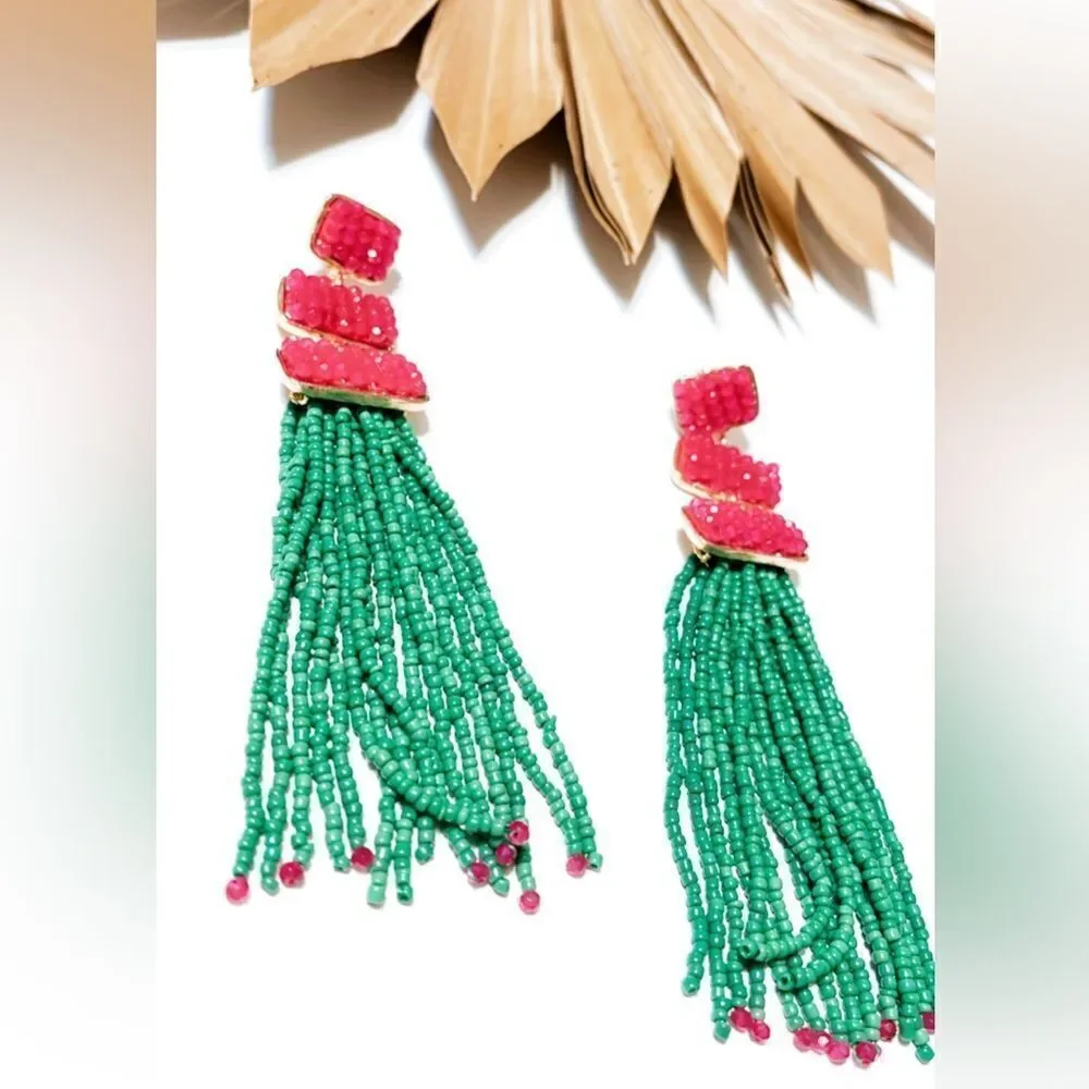 Beaded tassel drop earrings #669